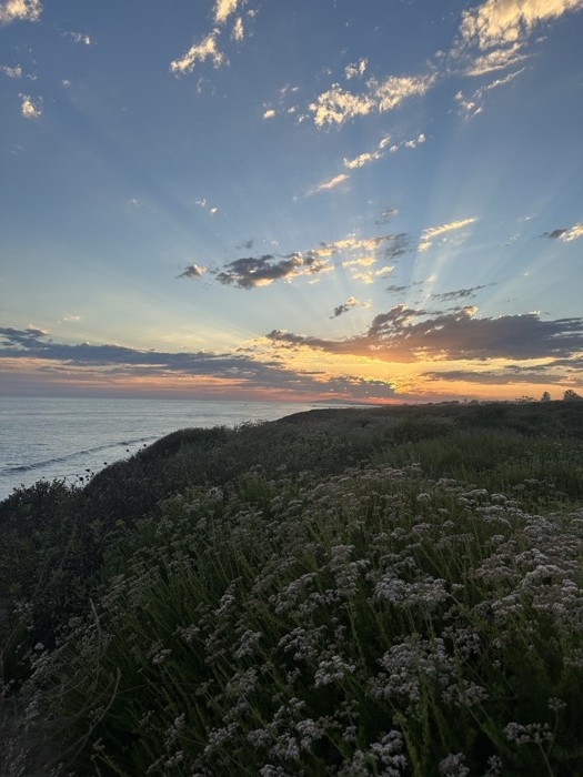 Sunset over the Pacific from a coastal bluff